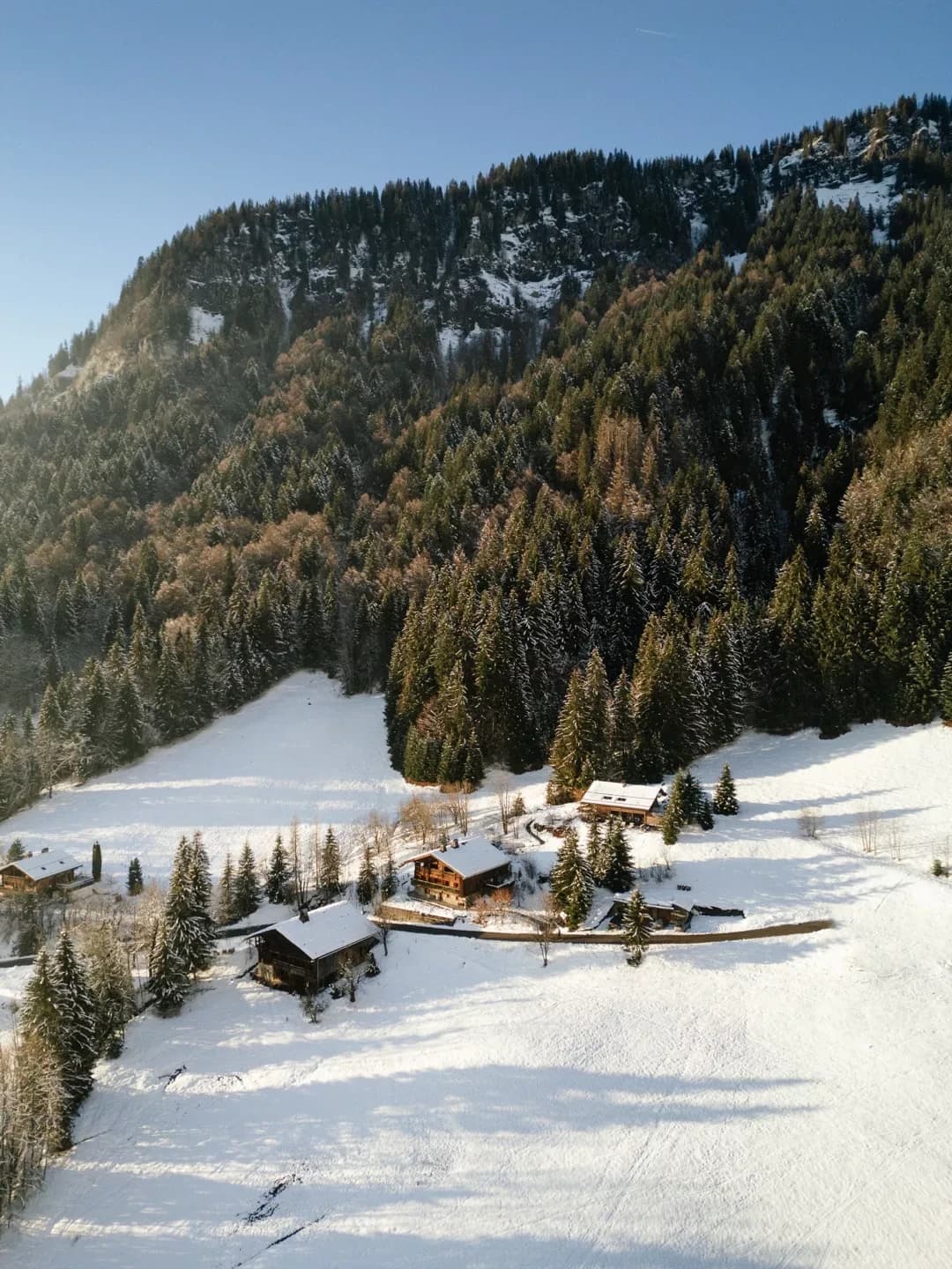 Suite à la Montagne