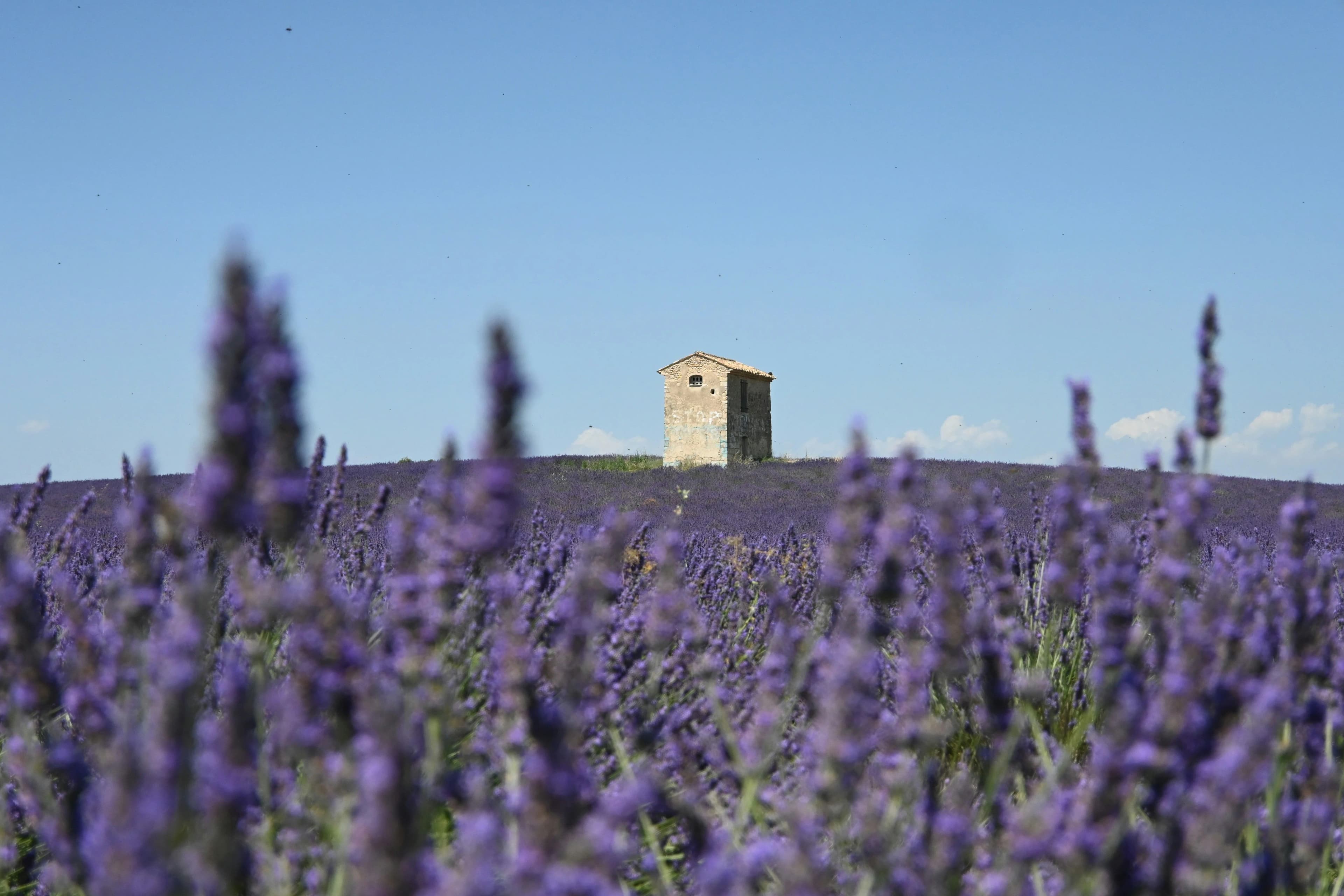 Provence
