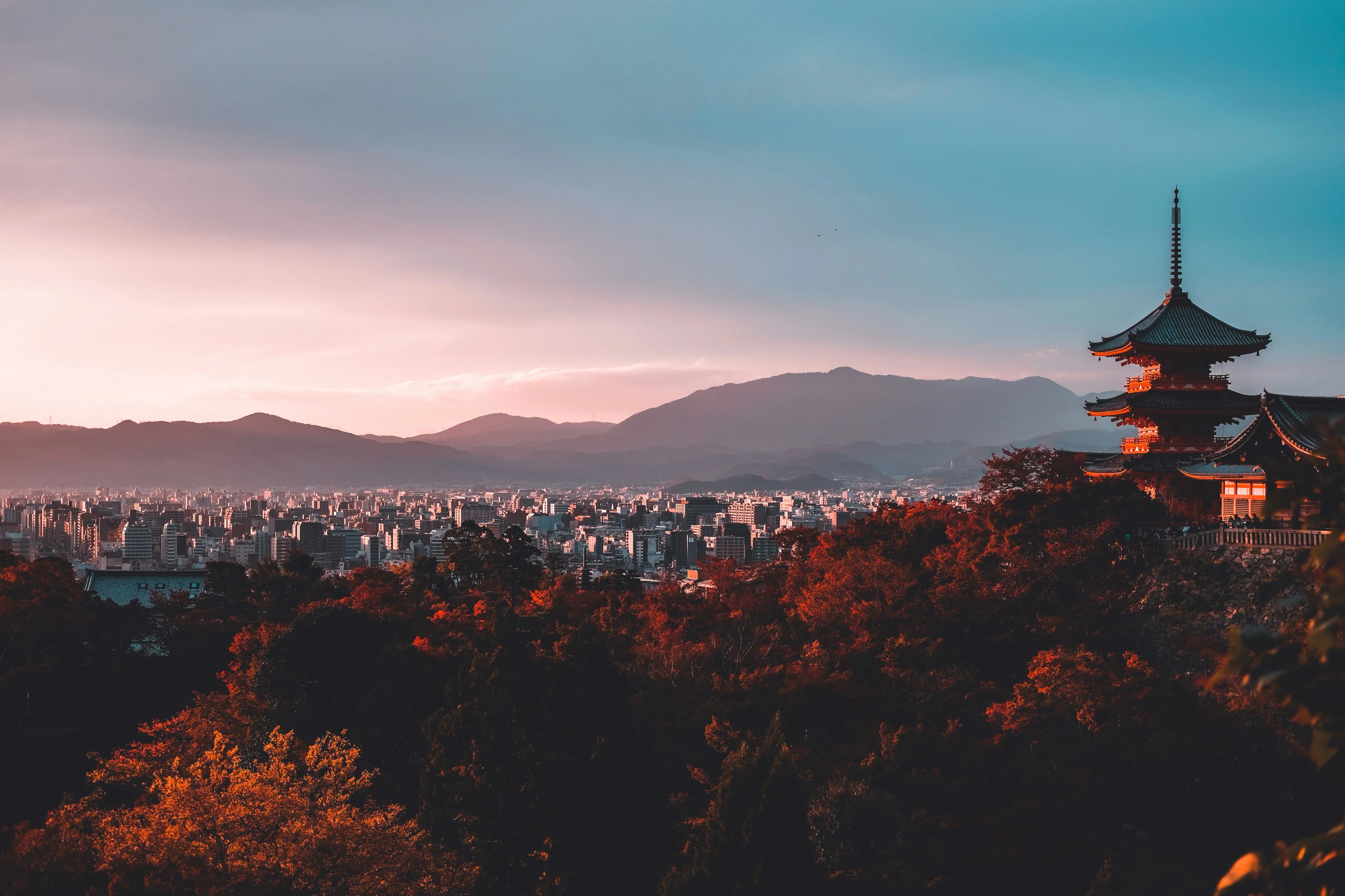 Le Guide Ultime des Plus Belles Suites de Luxe à Tokyo | LaSuite.com