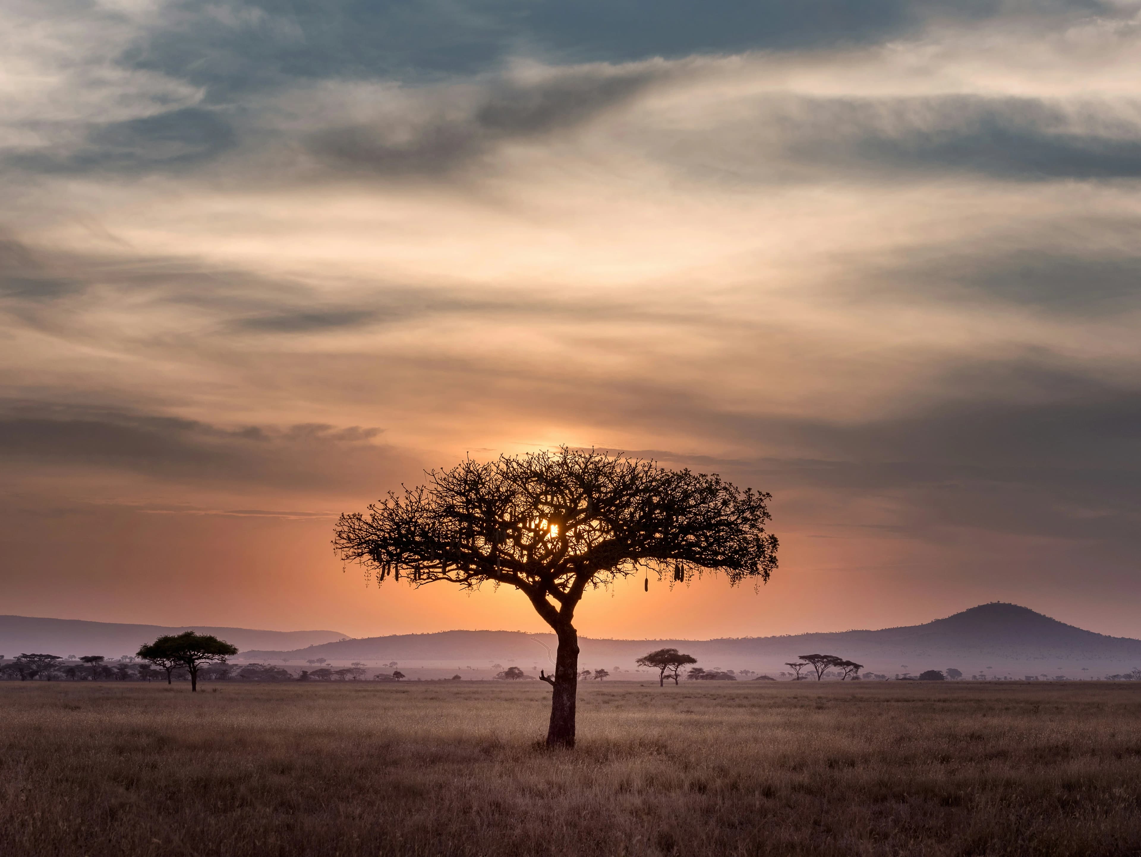 Afrique