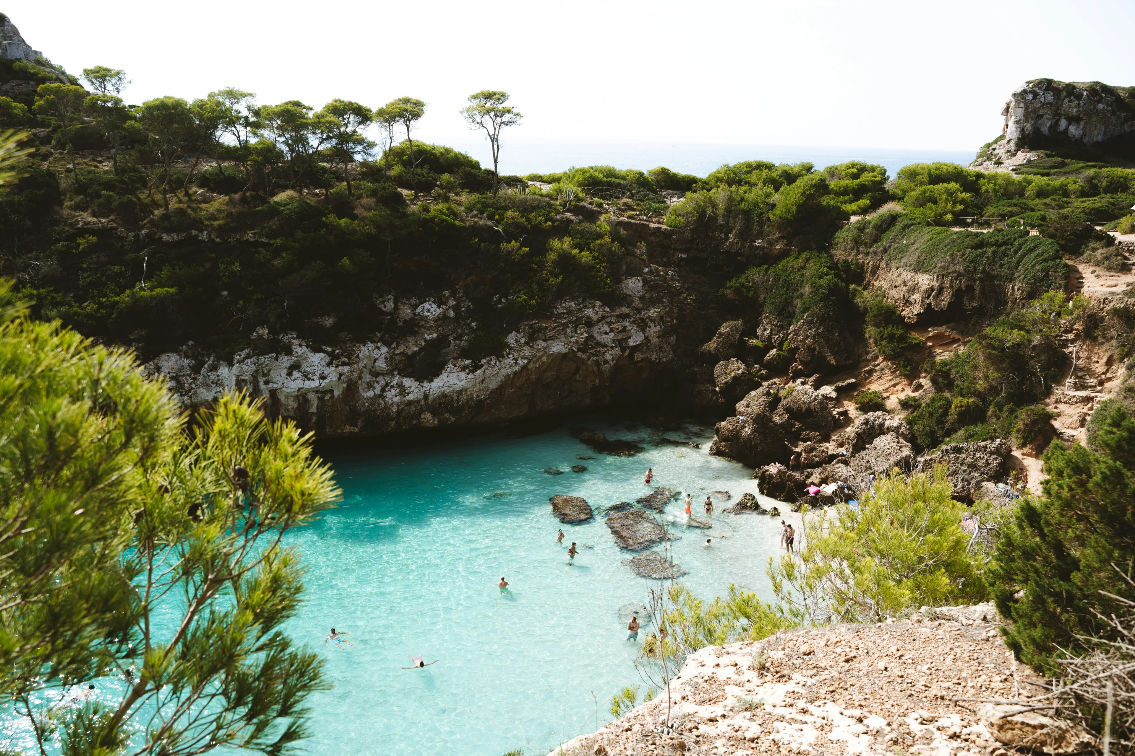 Majorque (île)