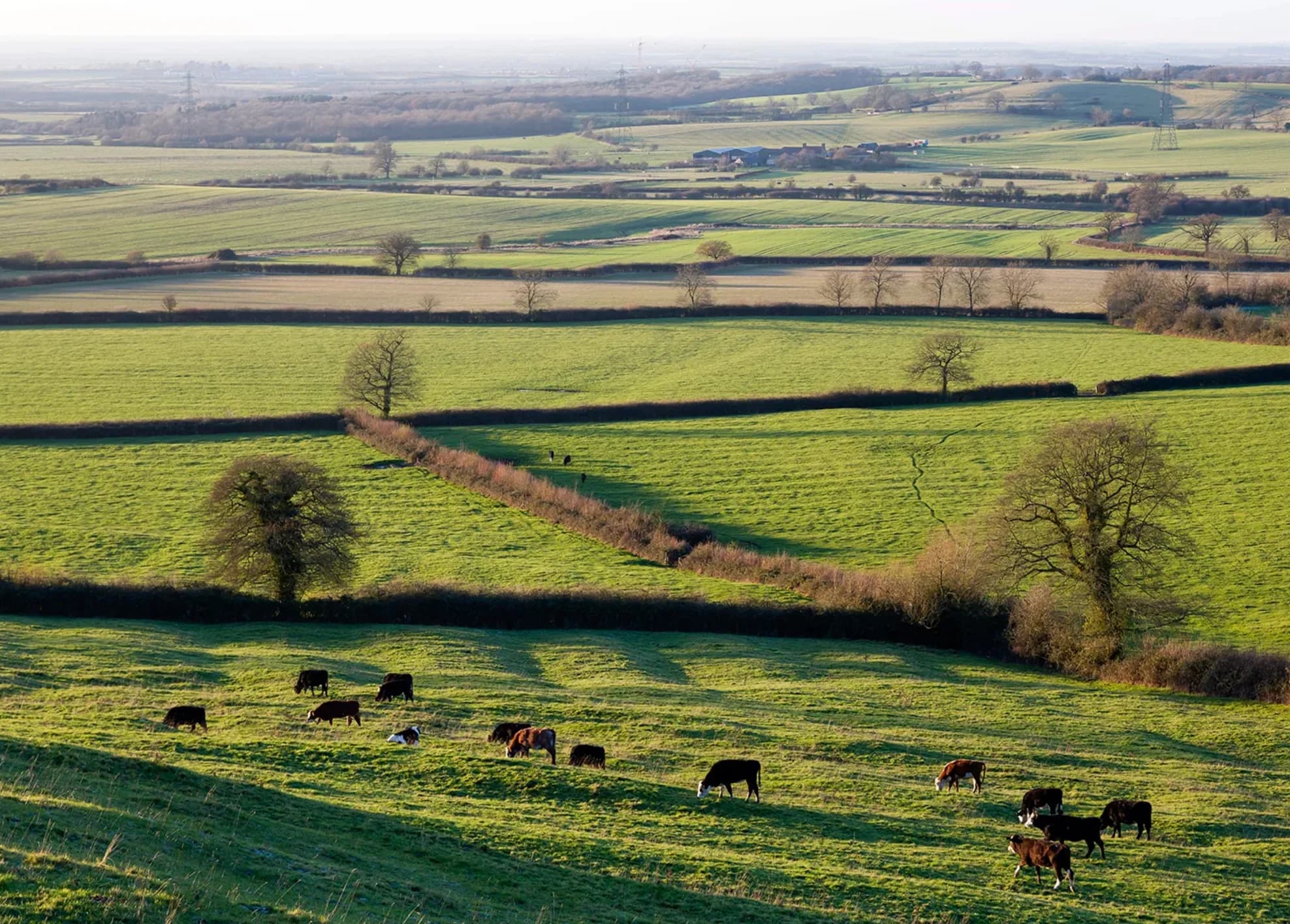 Buckinghamshire
