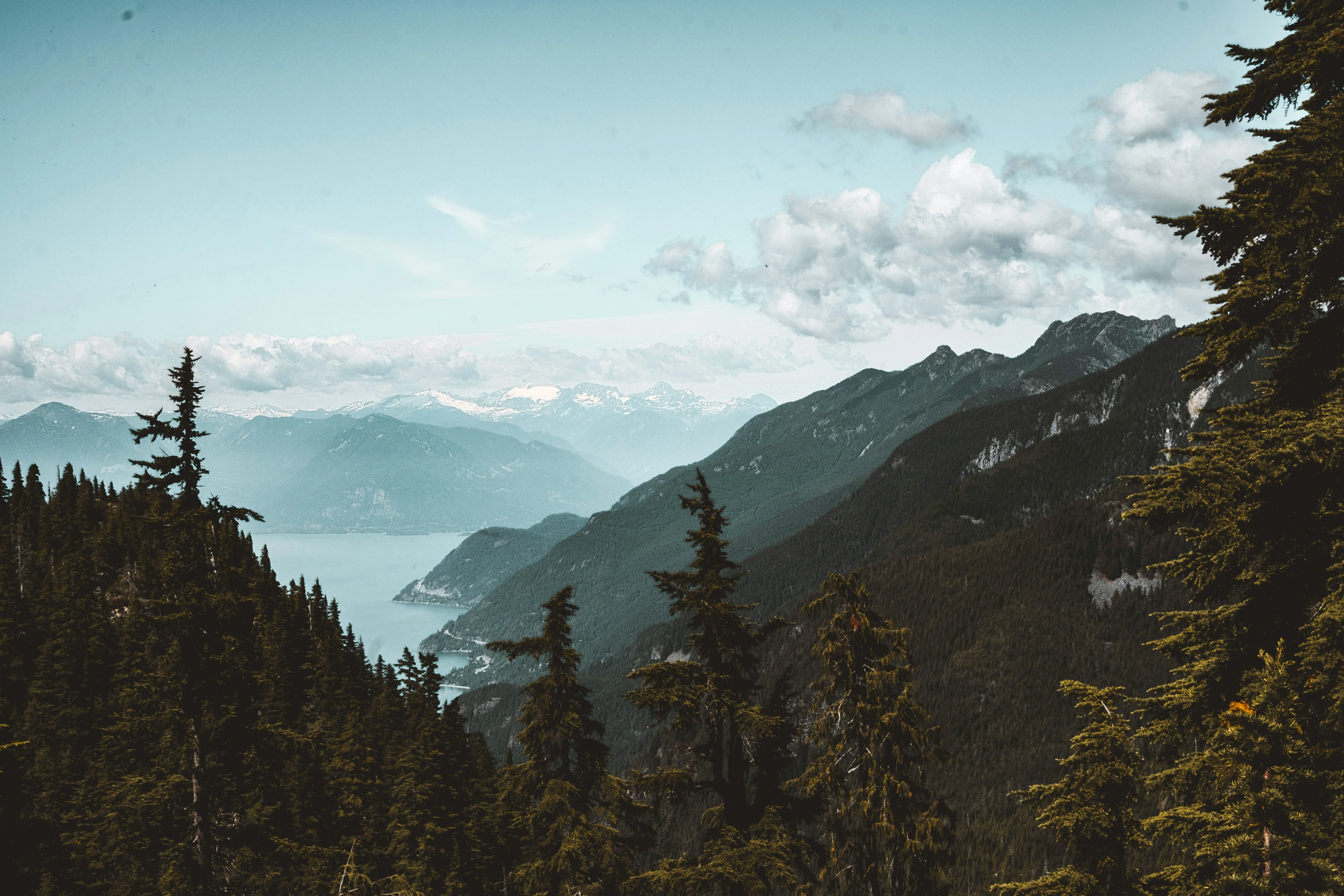 jess-barnett-OZ39FEsj7lk-unsplash